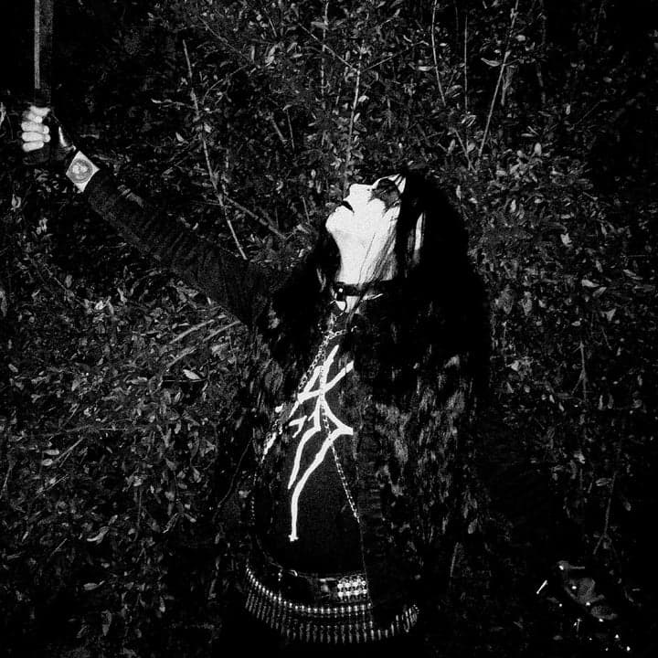 Mäleficentt - Night of Eternal Darkness LP