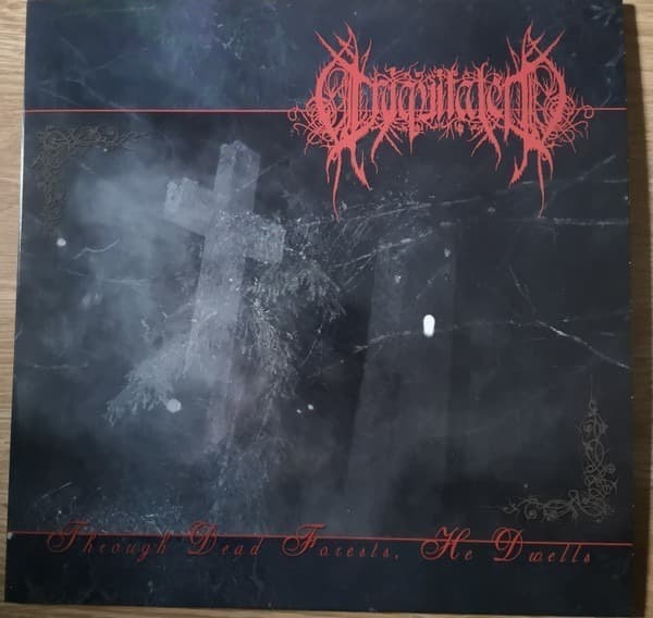 Iniquitatem - Through Dead Forests, He Dwells LP
