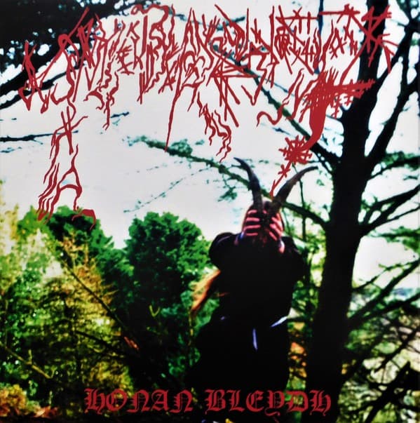 Ynkleudherhenavogyon – Honan Bleydh LP