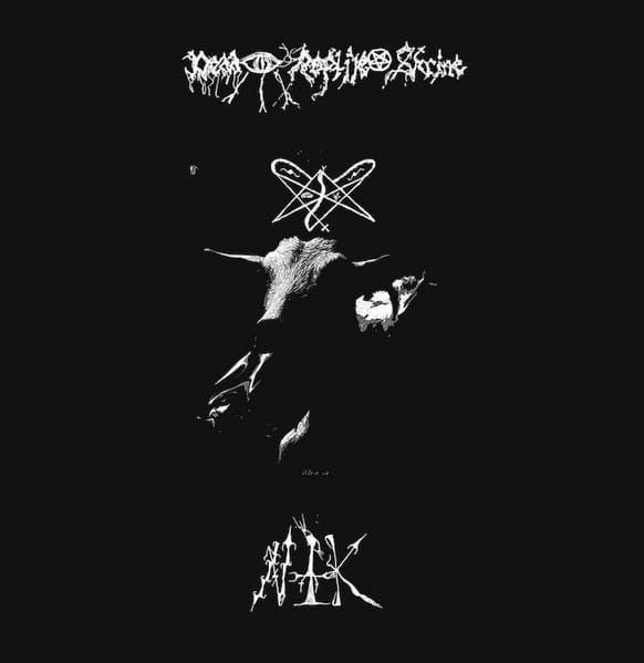 Dead Reptile Shrine – N.t.K. LP